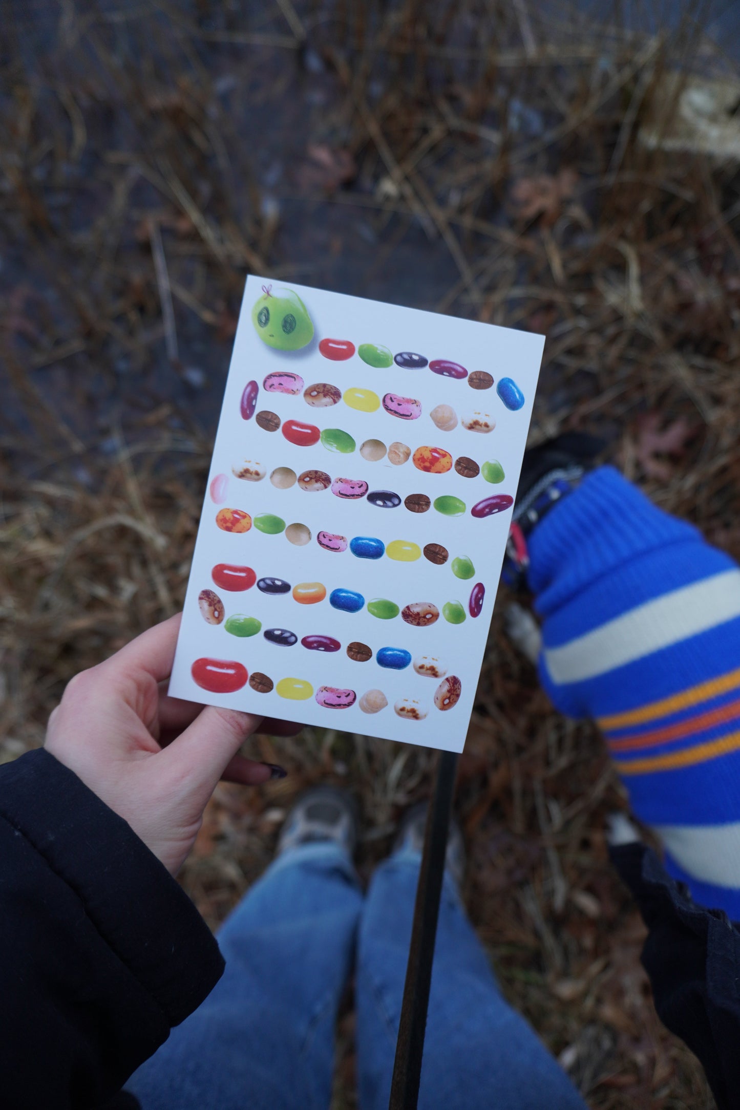 Miscellaneous Beans Card