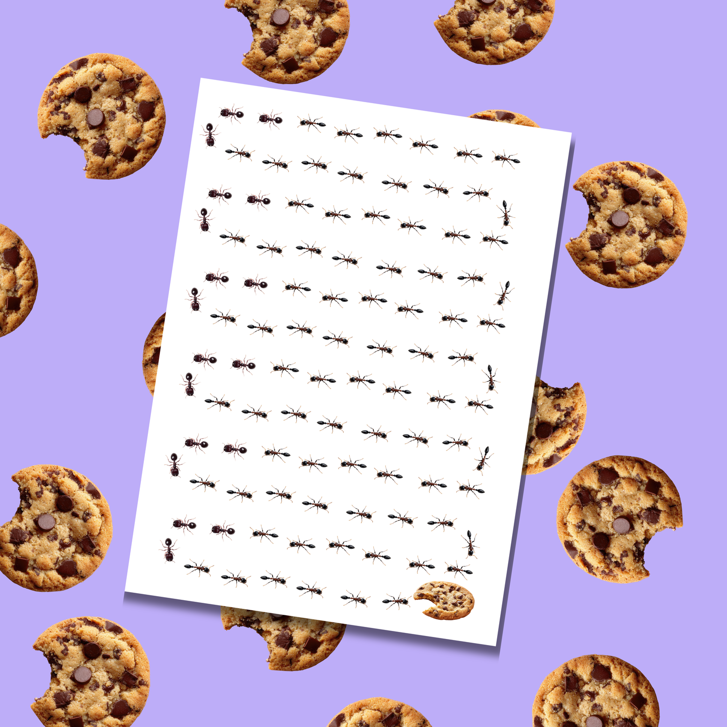 Ants Want Cookies Card